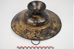 Foto von Bronzebreitrandfußschale (NHMW-PRAE-025275)